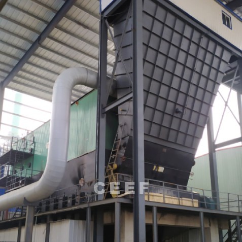 Coal and biomass dual-fuel thermal oil heater with customizable grates and automatic ash cleaning